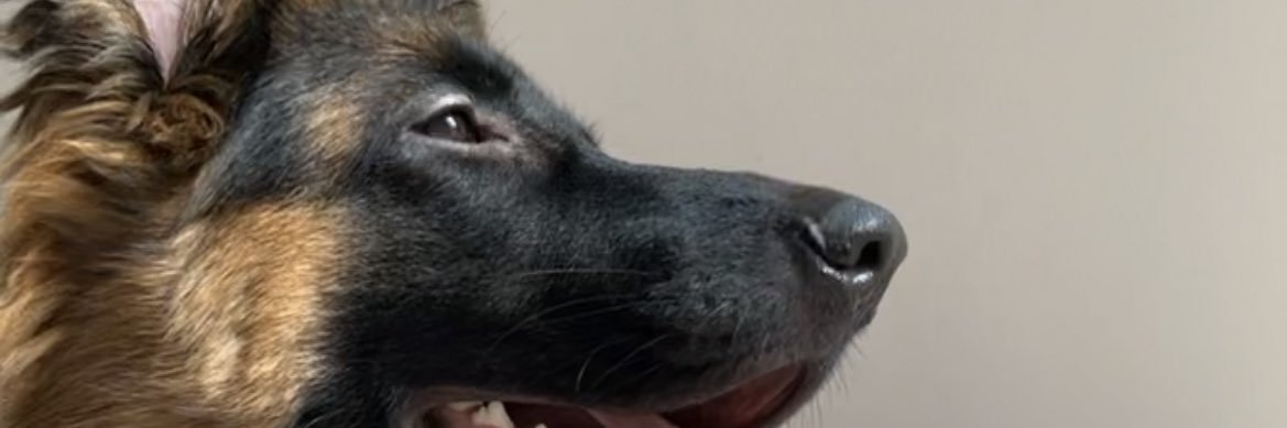 _BryanB_'s profile banner image
