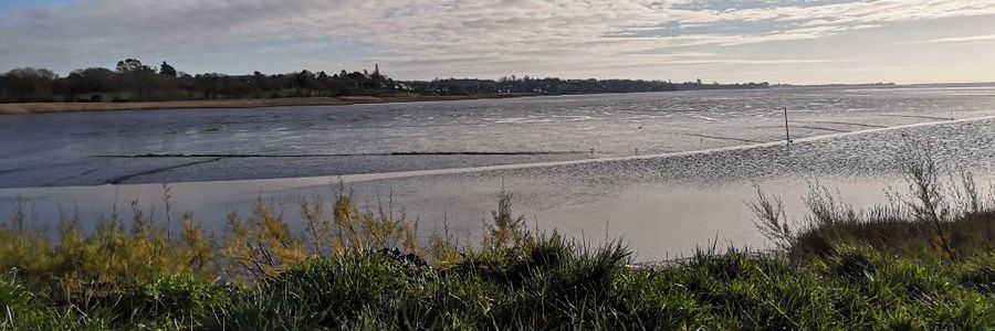 DevonSongFest's profile banner image