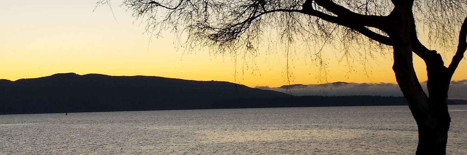 WDSunshine's profile banner image