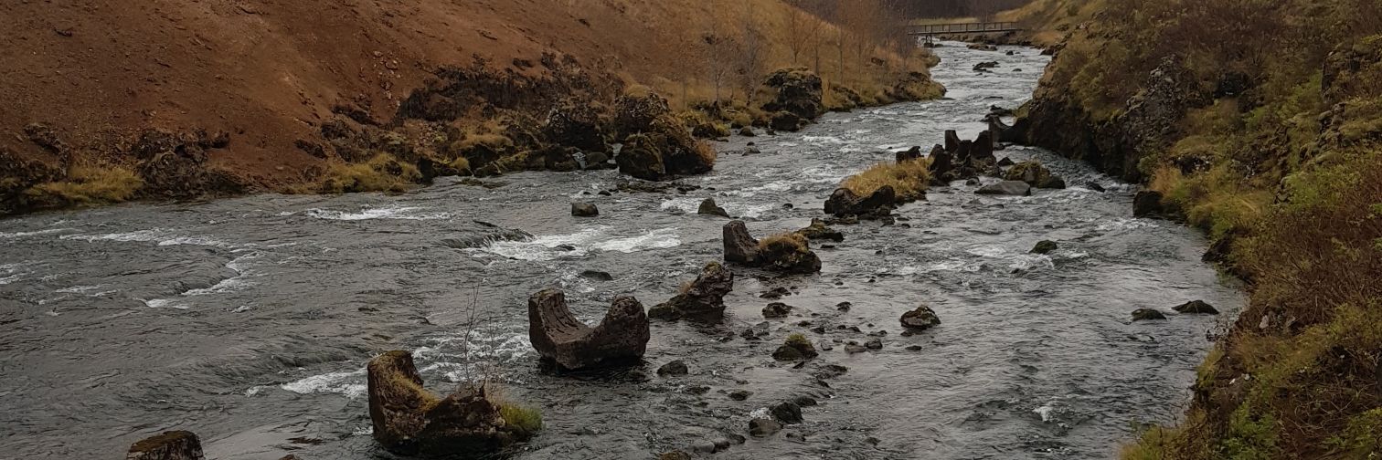 raetooth's profile banner image
