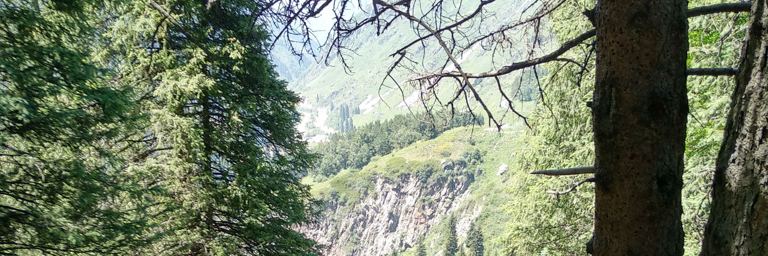 женат на твиттерской banner