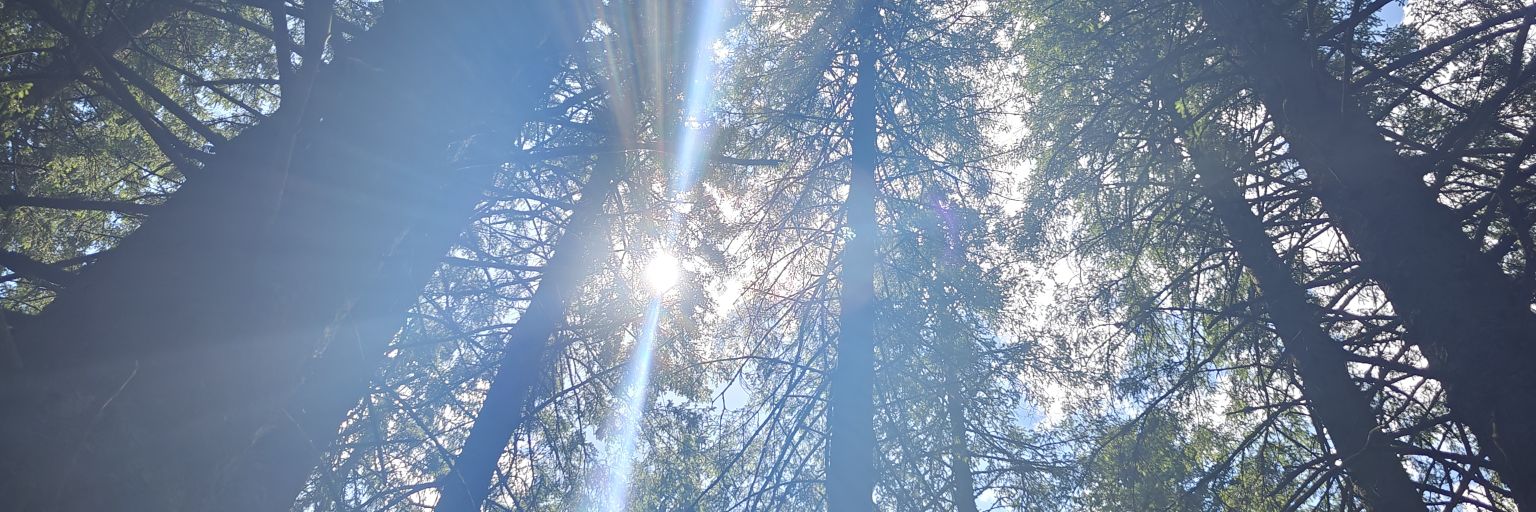 tomol22's profile banner image
