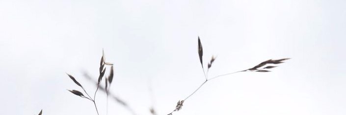 heyiindra's profile banner image
