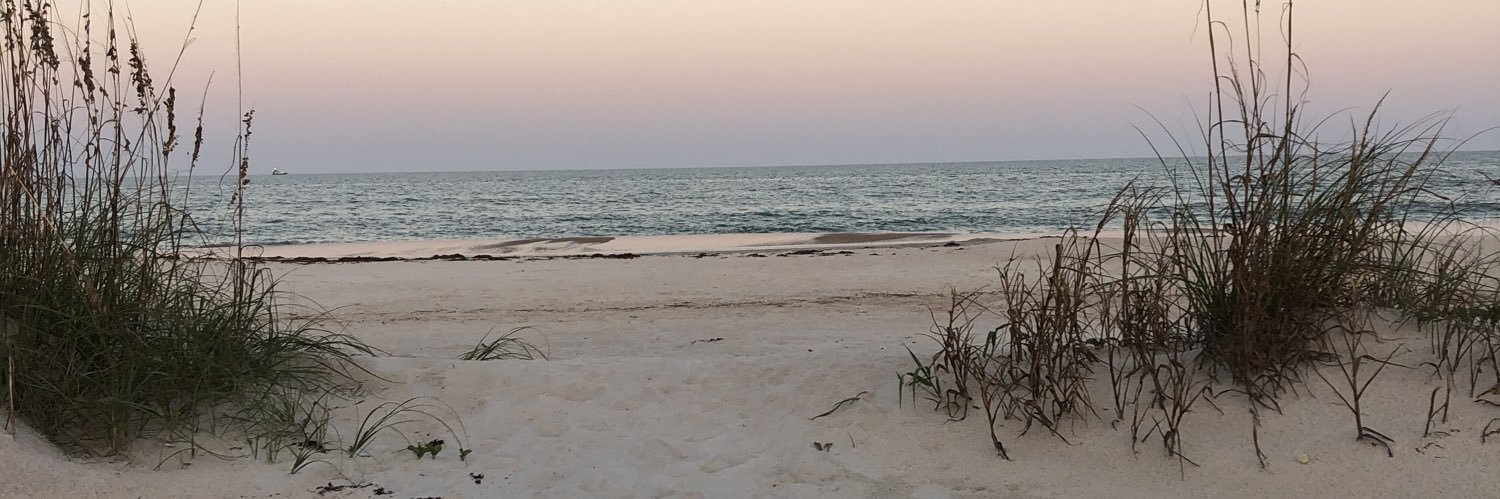 Phant0m4L's profile banner image
