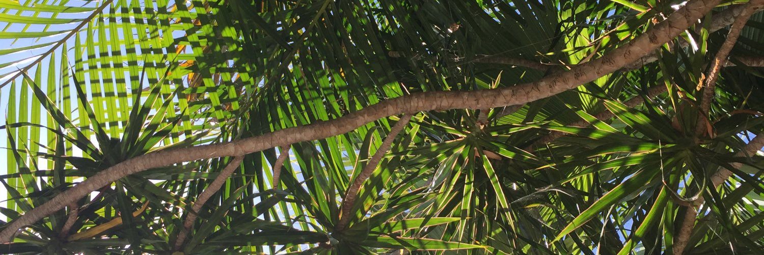 lifeincommotion's profile banner image