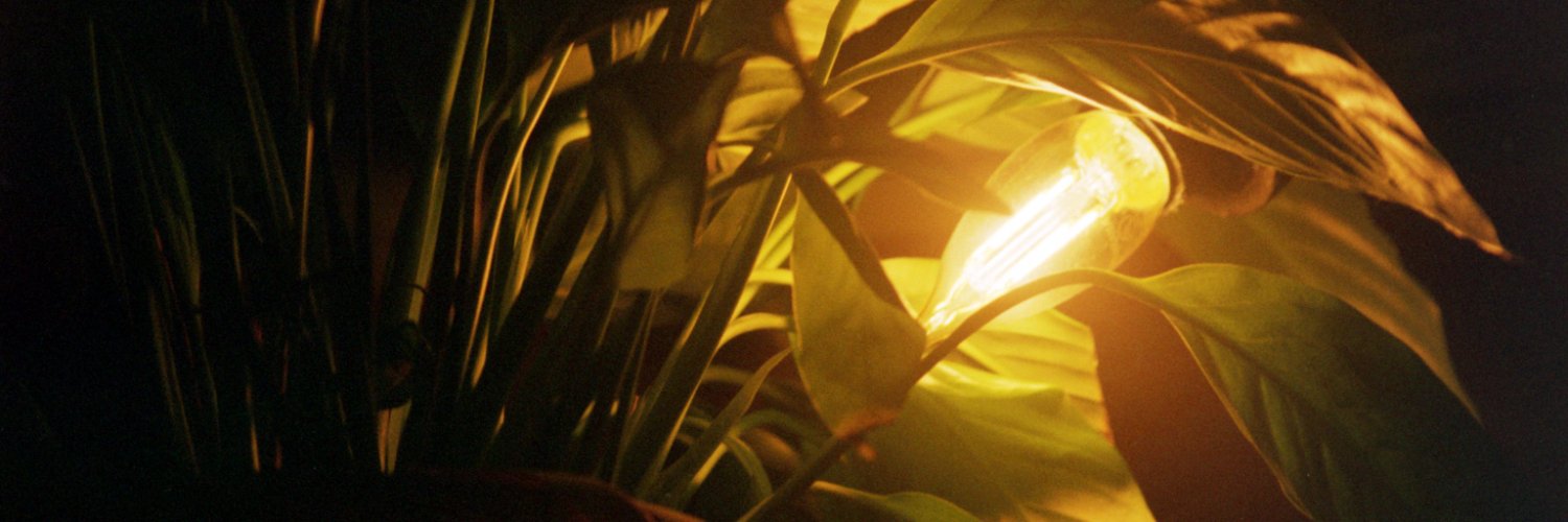 violentjuice_'s profile banner image
