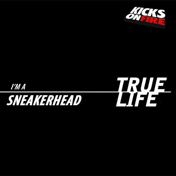IMMRSCOOBY's profile banner image