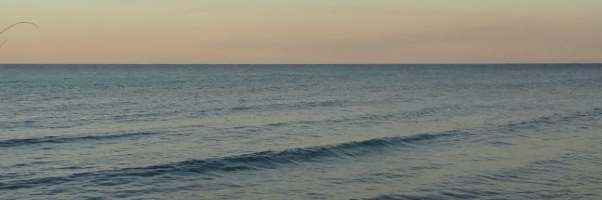 s_2000cm's profile banner image