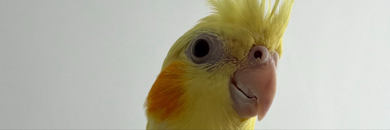msonerakyol's profile banner image