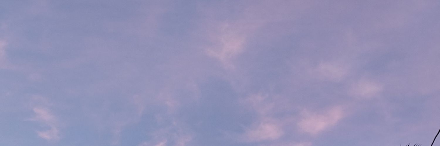 asteer10's profile banner image