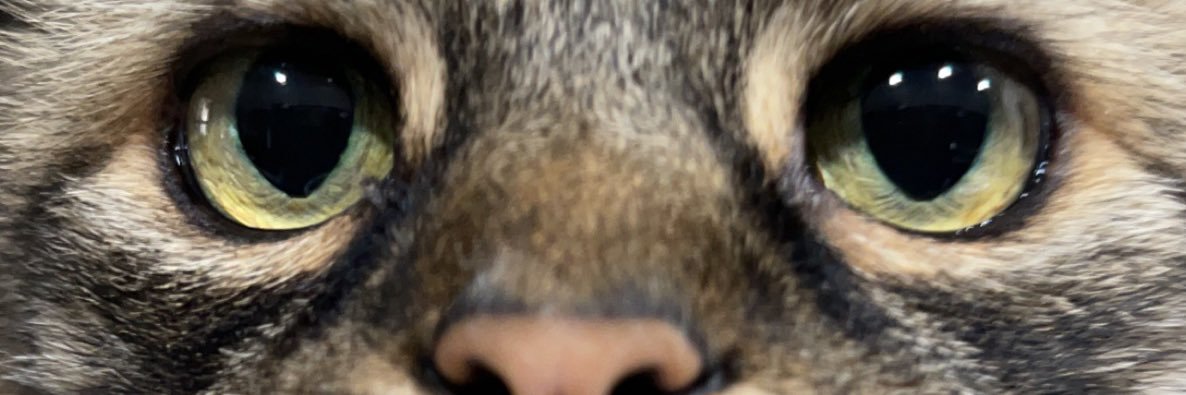 seidyem's profile banner image