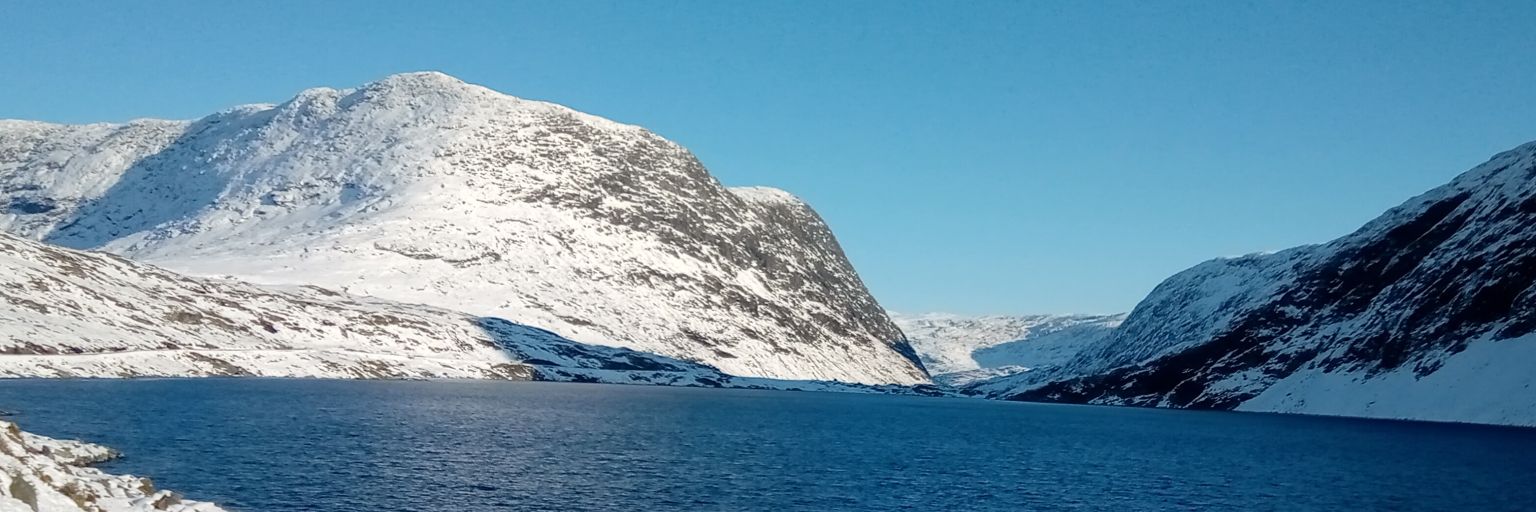 ☕️ Downing coffee banner