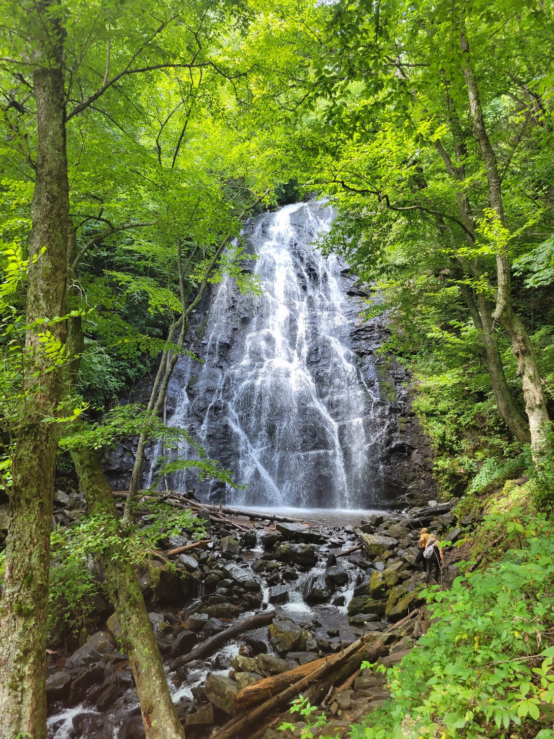Happy Appalachia banner