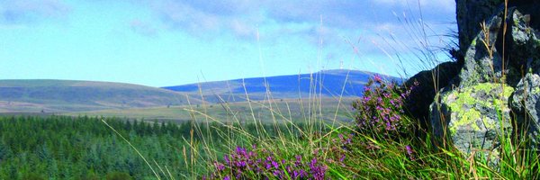 le réseau nature CEN Profile Banner