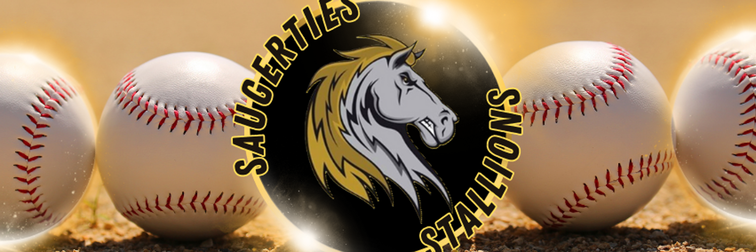 Saugerties Stallions Profile Banner