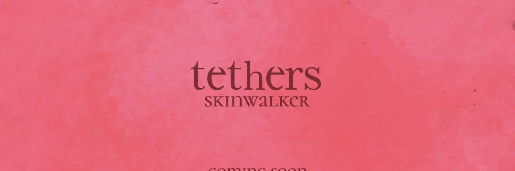 Swallow Song Records banner