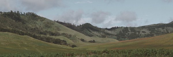 oyonka Profile Banner