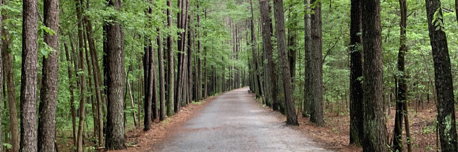 Mary Elliott Michael banner