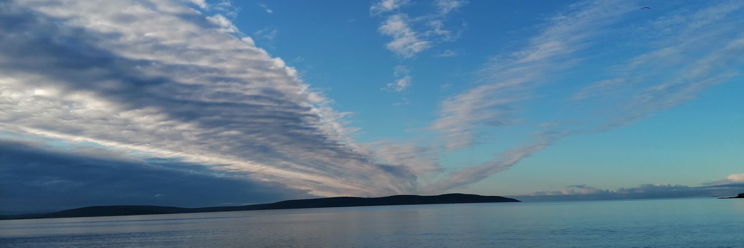 Debbie Corcoran, PhD banner