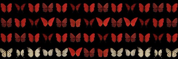 HalcyonGallery Profile Banner