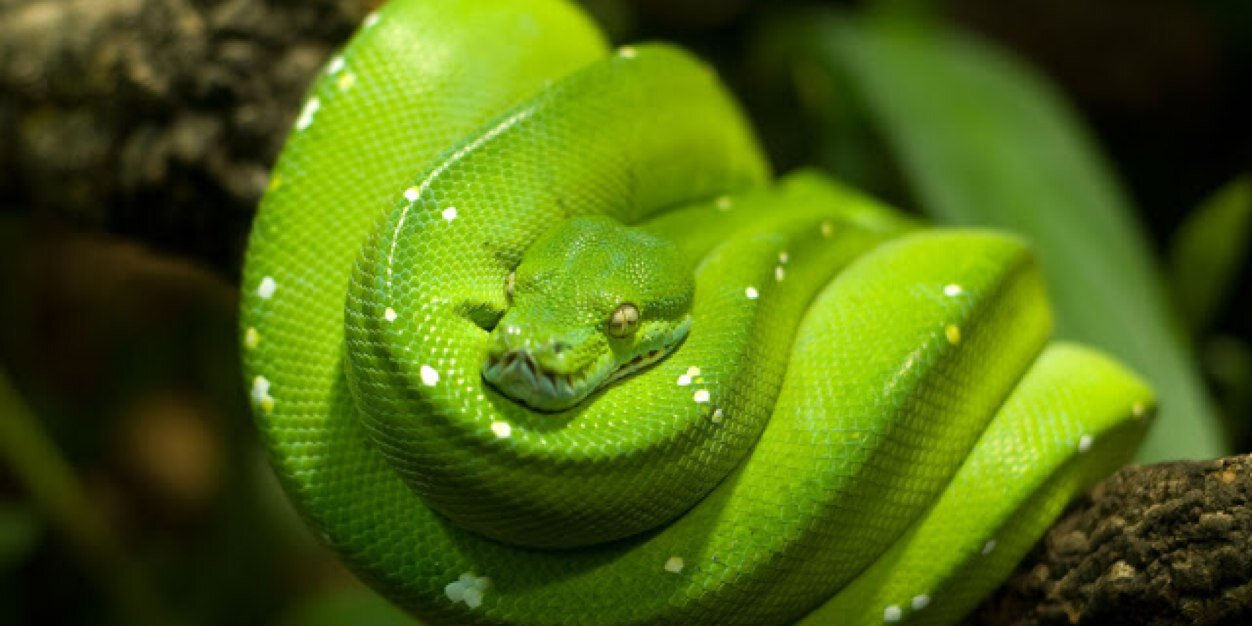 JamesIJJones's profile banner image