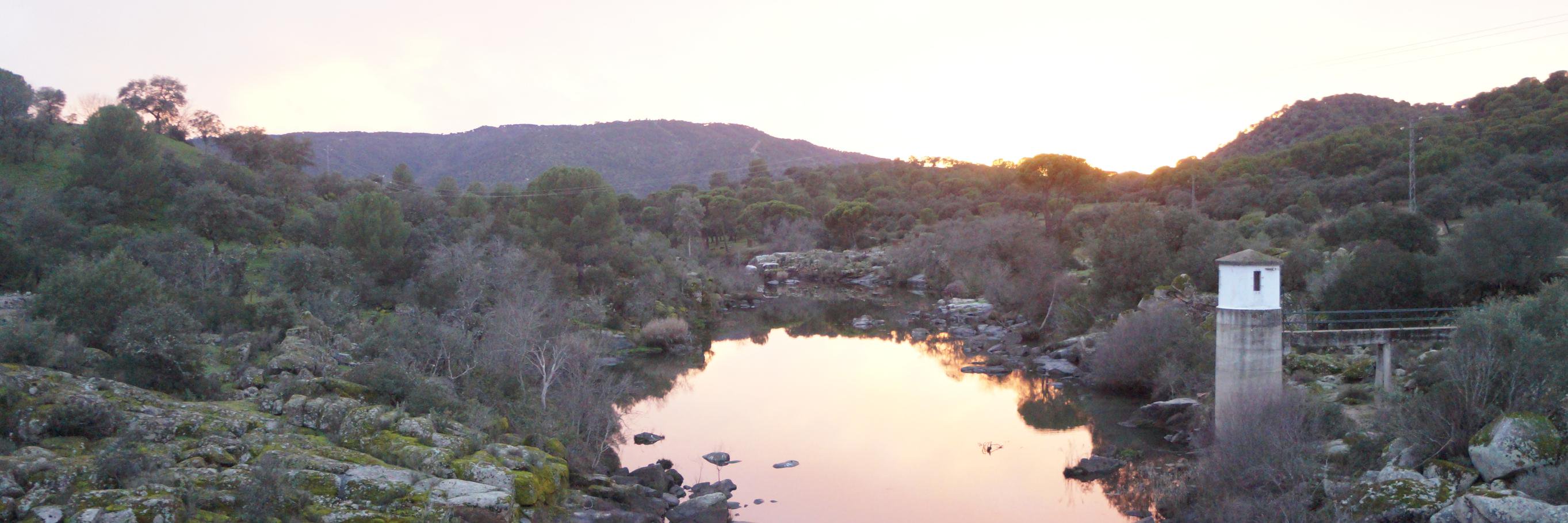 Rhinolophus_euryale banner