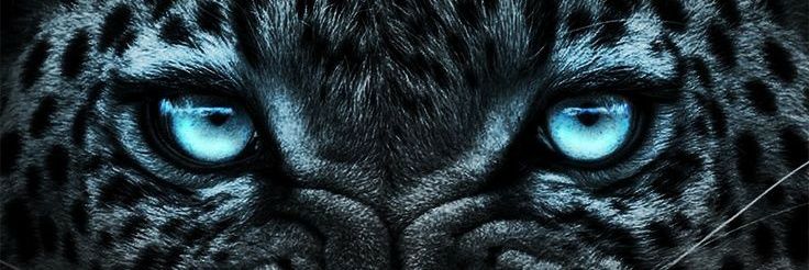 zizahnz's profile banner image