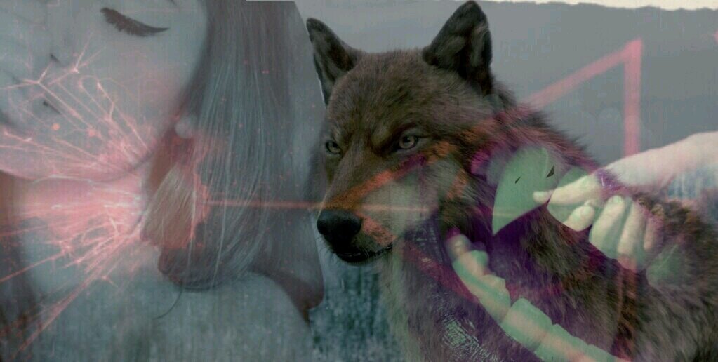FantasyFallsRP's profile banner image