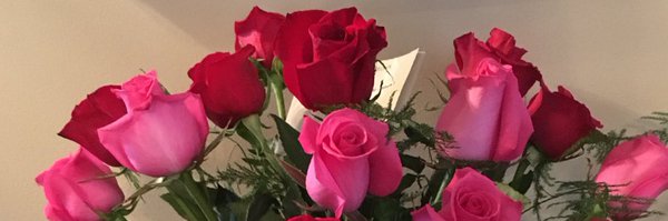 SDH4heart Profile Banner