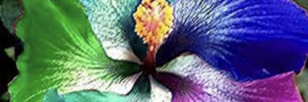 Angel120344's profile banner image