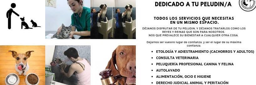 SabadellAdiestr's profile banner image