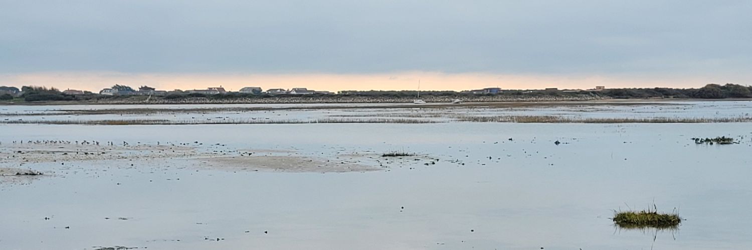 Becky Edwards banner