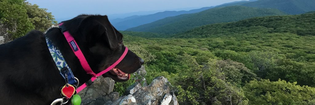 K8stweets's profile banner image