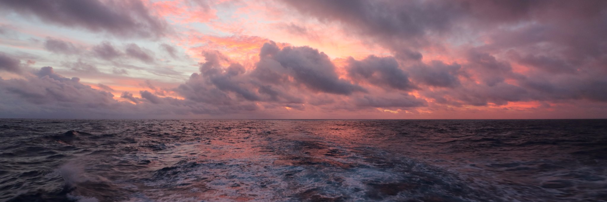 thesciencepaige's profile banner image