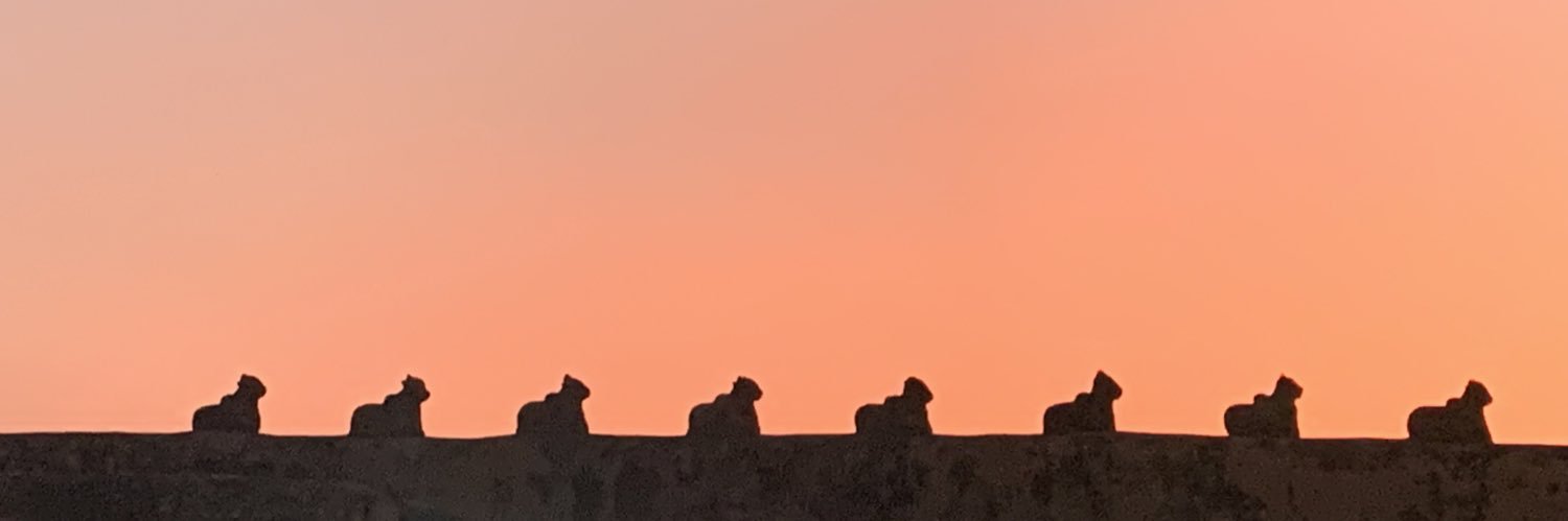 mani_rps's profile banner image