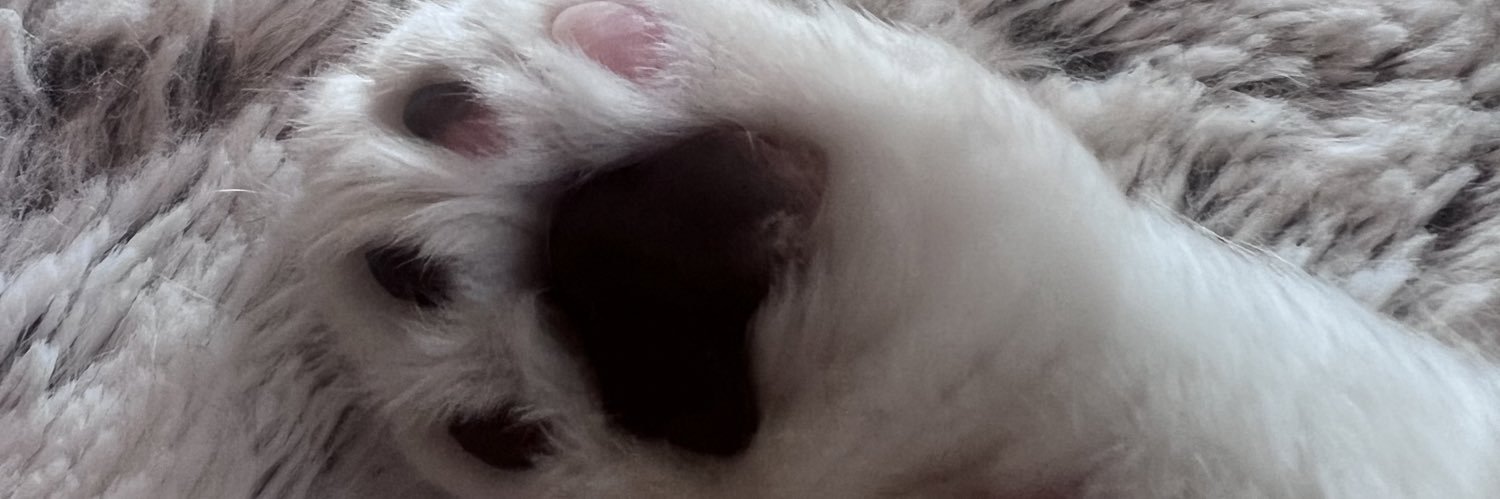 SammysSomething's profile banner image