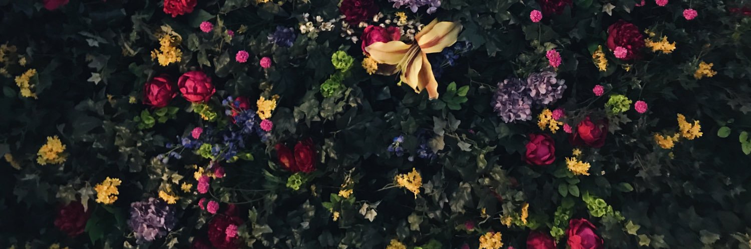 amadonc's profile banner image