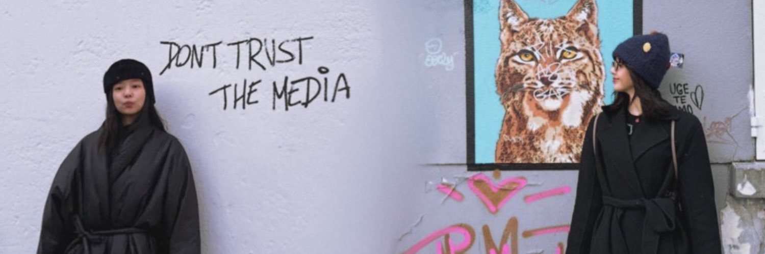 ʟɪ⁺¹⁹⁹⁵ :'s banner