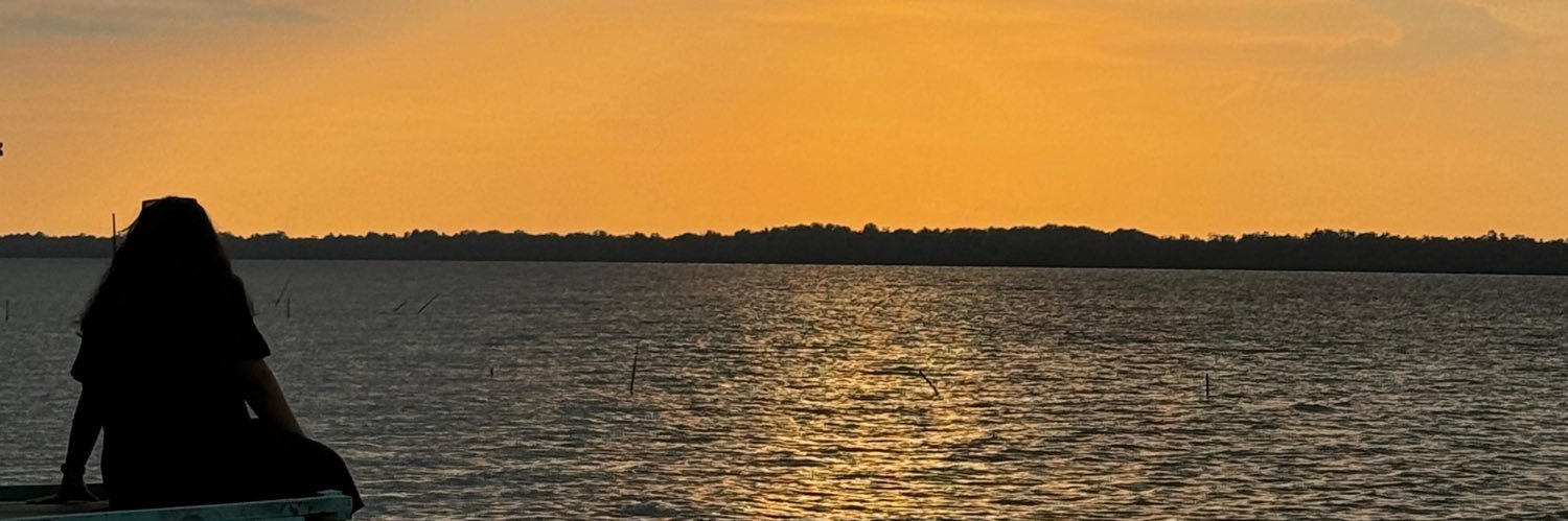Mentawatis's profile banner image