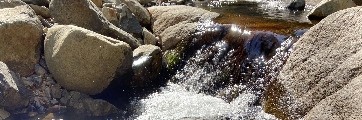 samantha McGinn banner