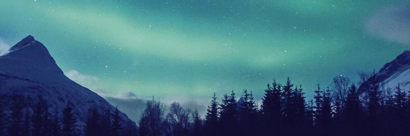 davidcapriotti's profile banner image