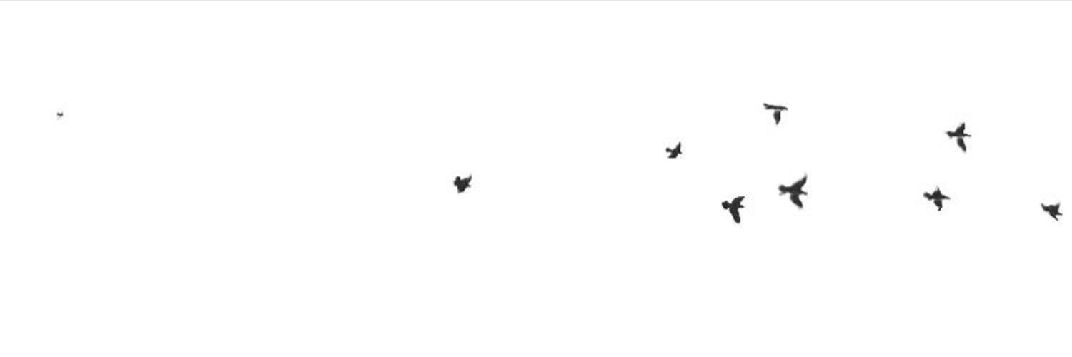 R0zz2's profile banner image
