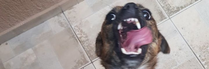 GabrielBielSB's profile banner image