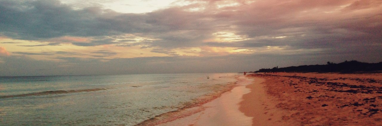 nsmuth's profile banner image