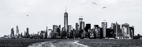 AriLucena9 Profile Banner