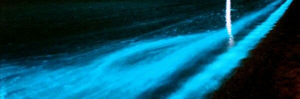 G banner