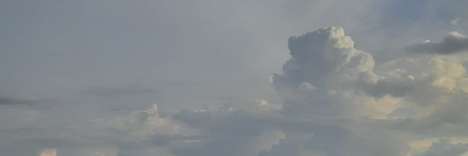 shrrw_'s profile banner image