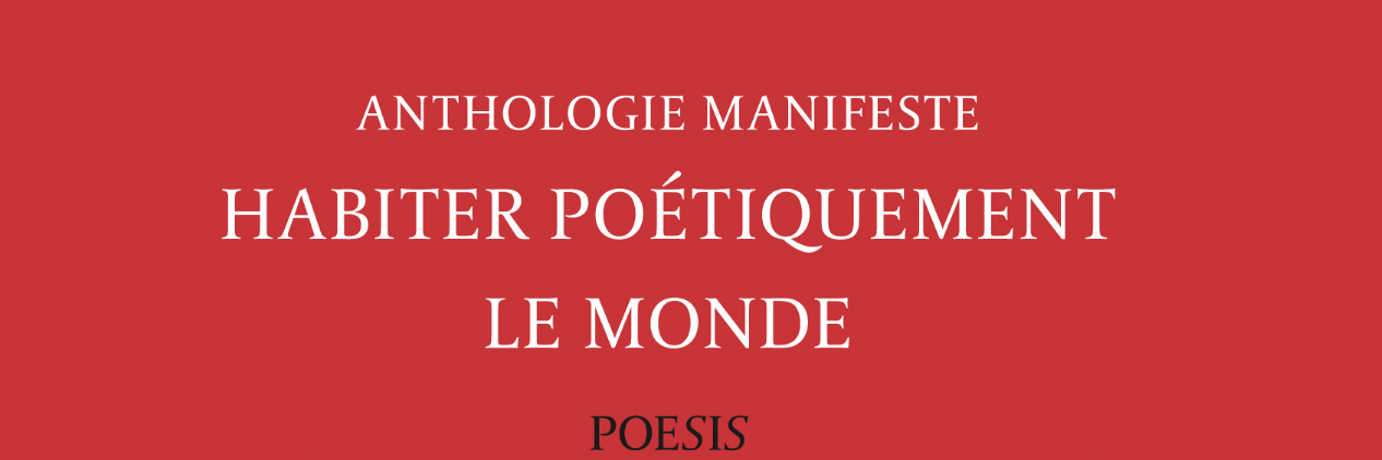editionspoesis's profile banner image