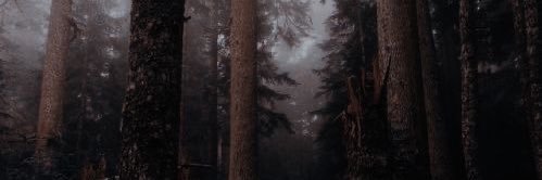 alinaaaaac's profile banner image