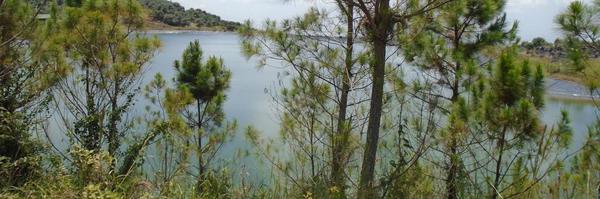 ljchavez23 Profile Banner